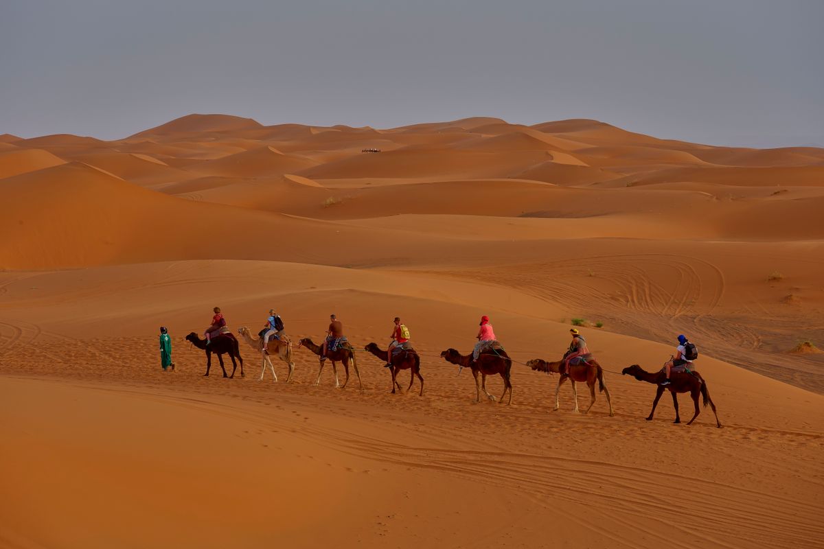 Camel caravan crossing the Sahara dunes