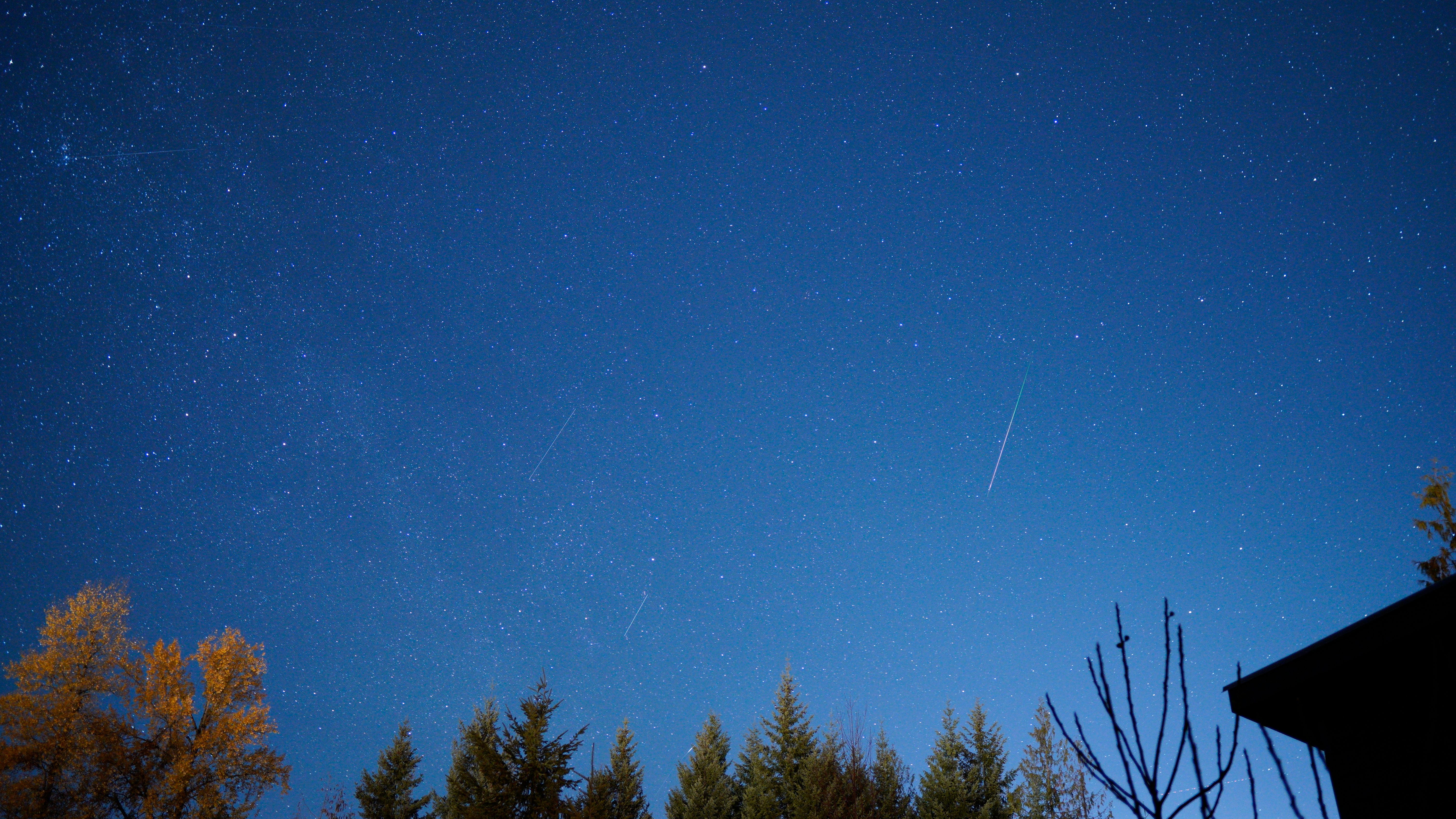 6. Starry Skies: A Cosmic Perspective