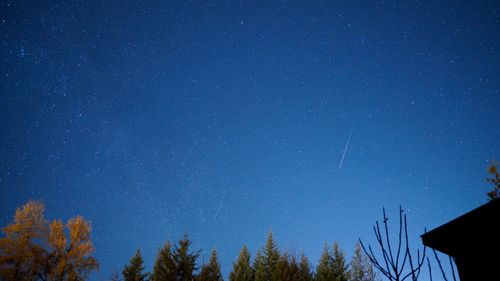 Free Capture the beauty of a starry night with shooting stars above a silhouette of trees. Stock Photo
