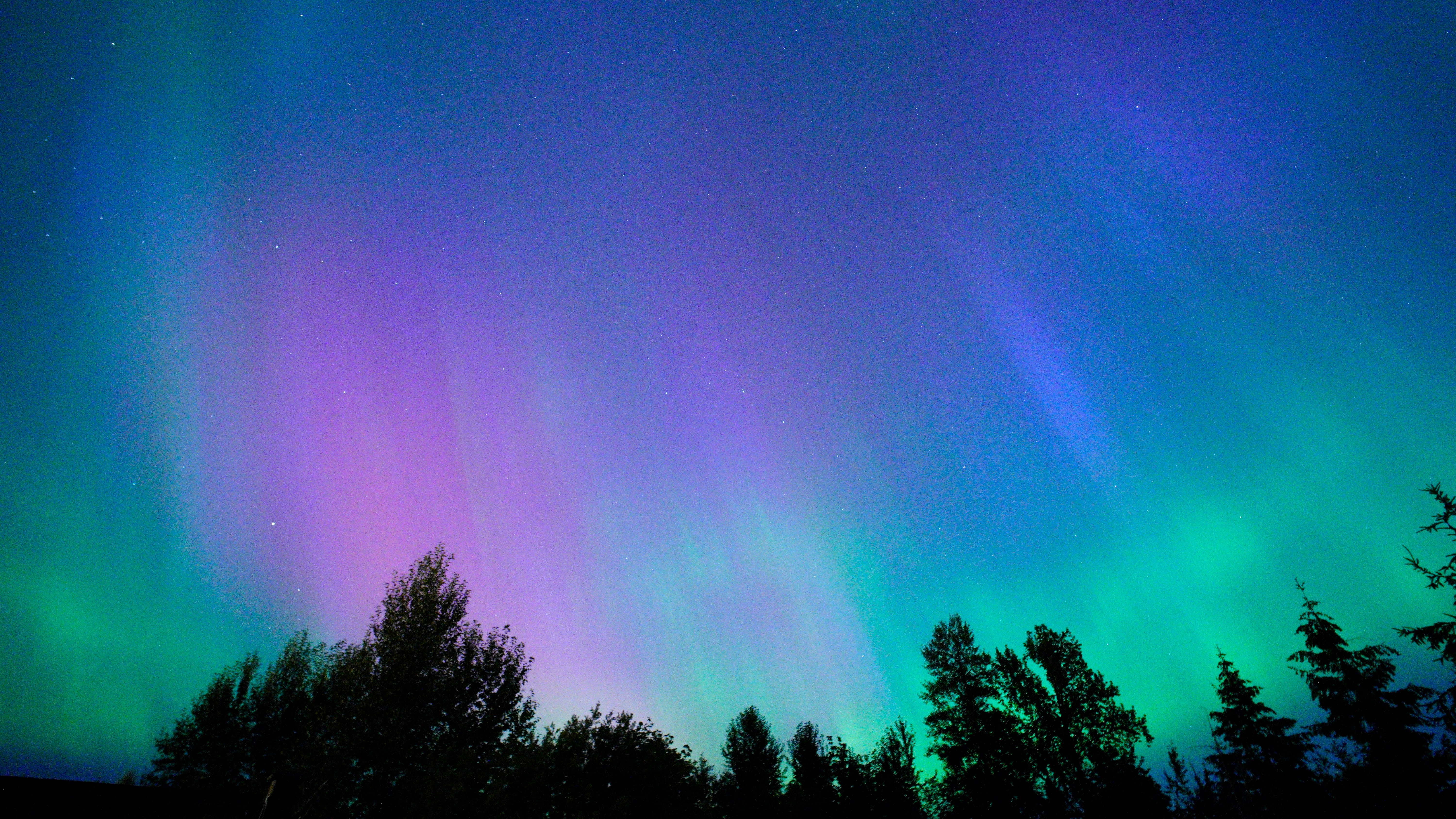 Foto: Jason Pittman / Pexels