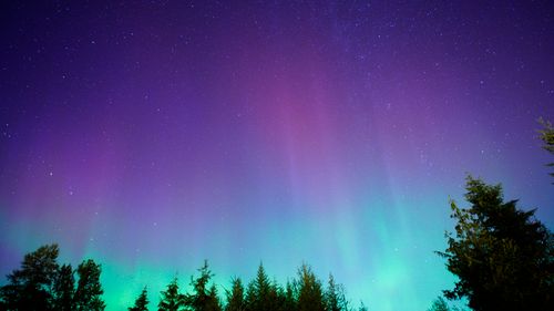 Free Stunning view of the Northern Lights illuminating a starry night sky over a dense forest. Stock Photo