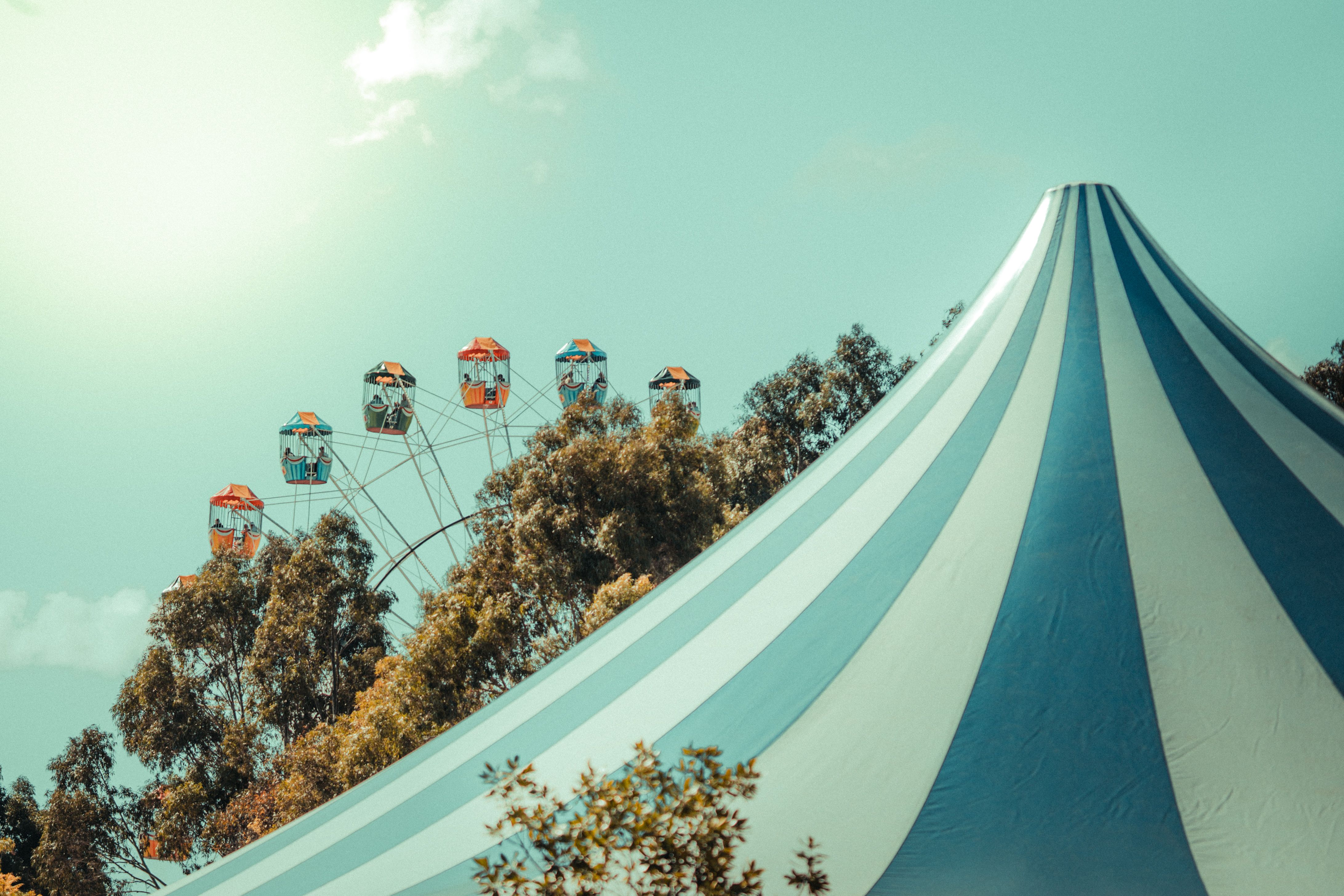 general entertainment — Photo by mark david cinense on Pexels