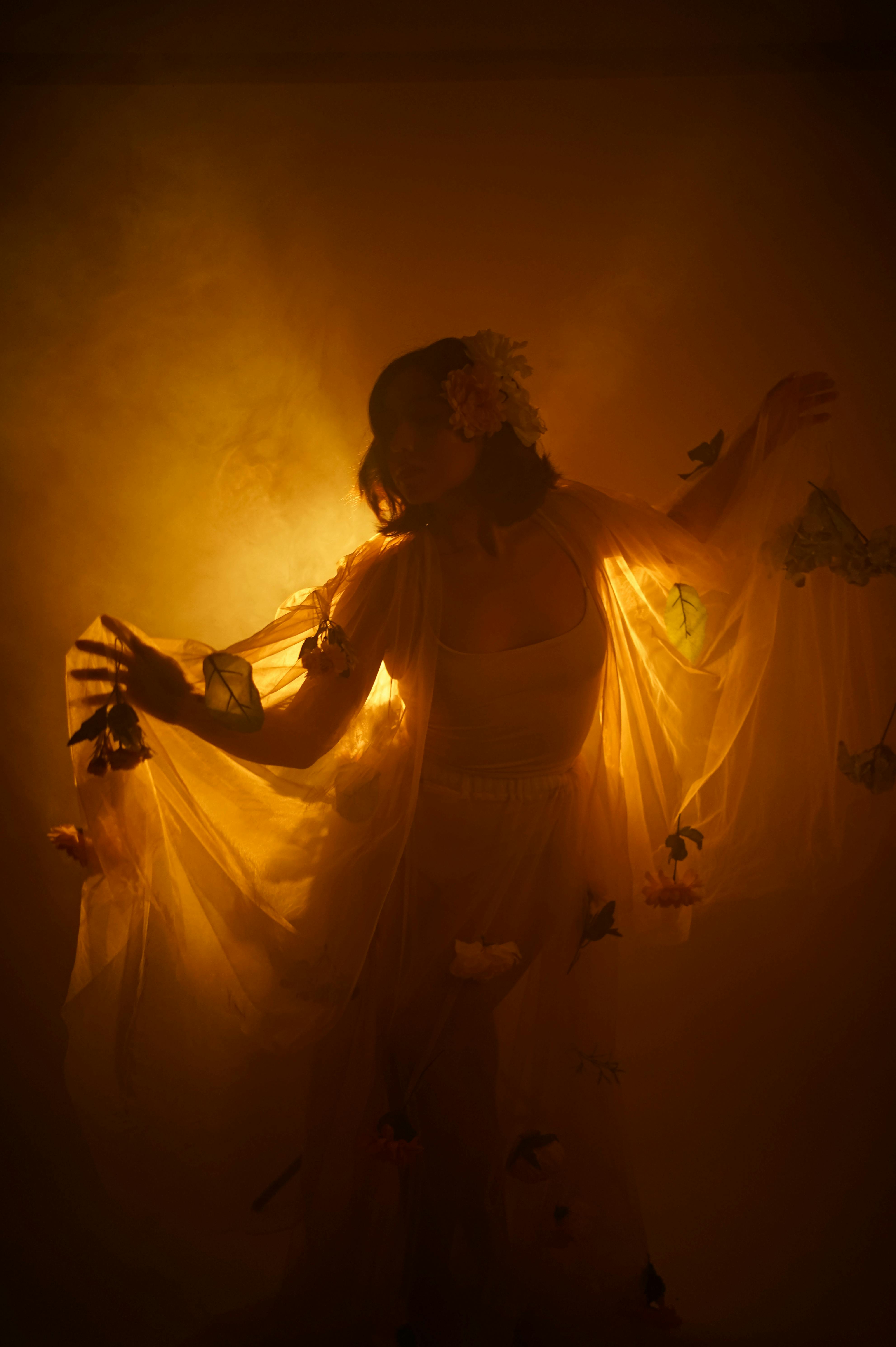 An enigmatic silhouette of a woman with tulle and butterflies against an orange light.