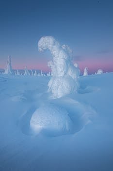 icey, 冒险旅行, 冬季 的 免费素材图片 - 相关推荐