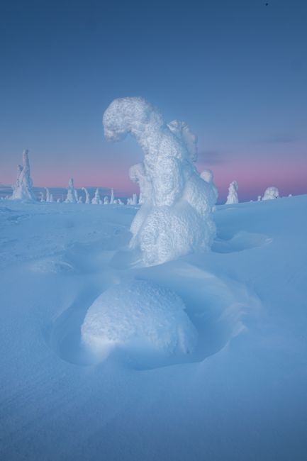 Enchanting snow-laden trees under twilight sky in Rovaniemi, Lapland.