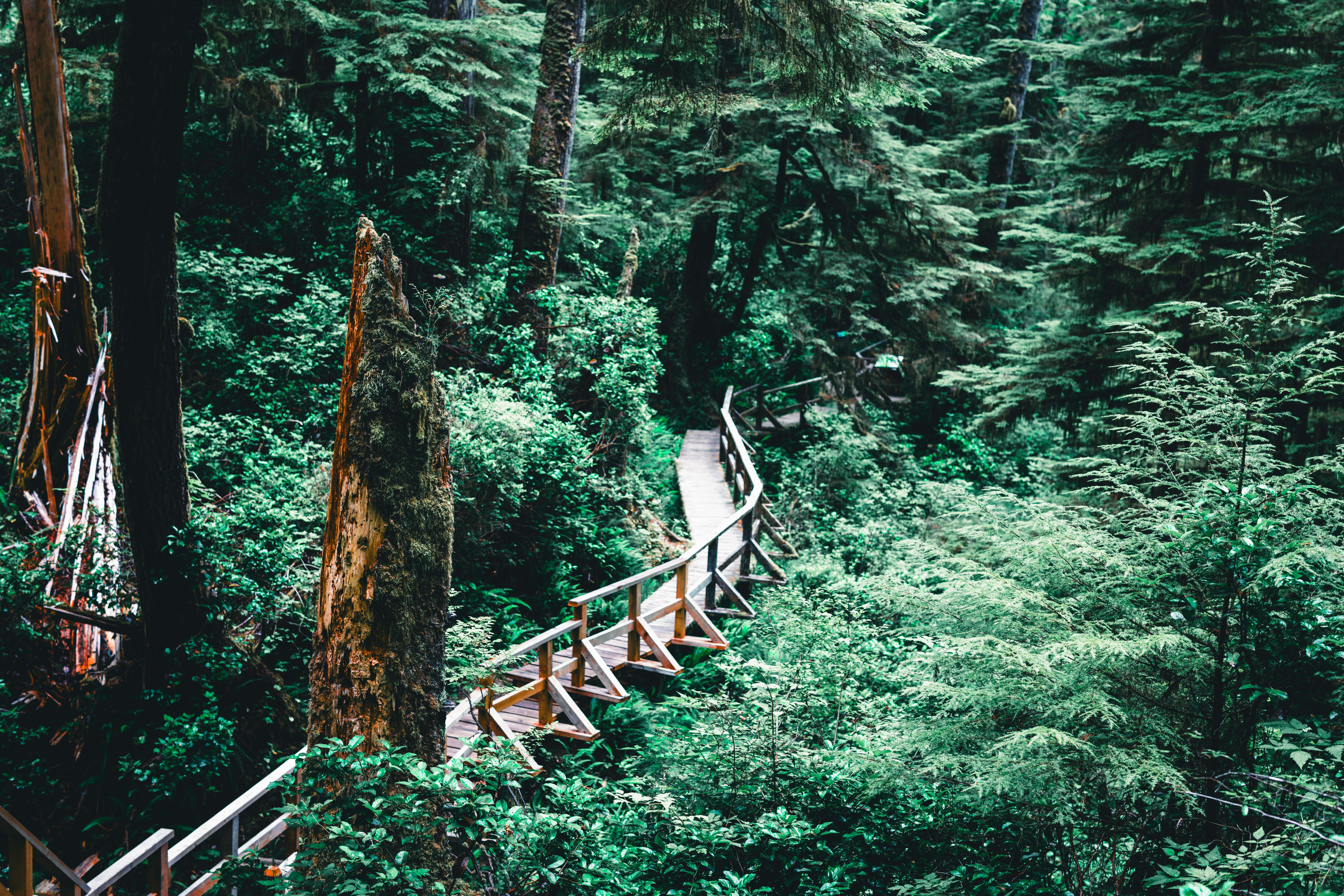 Dandenong Ranges