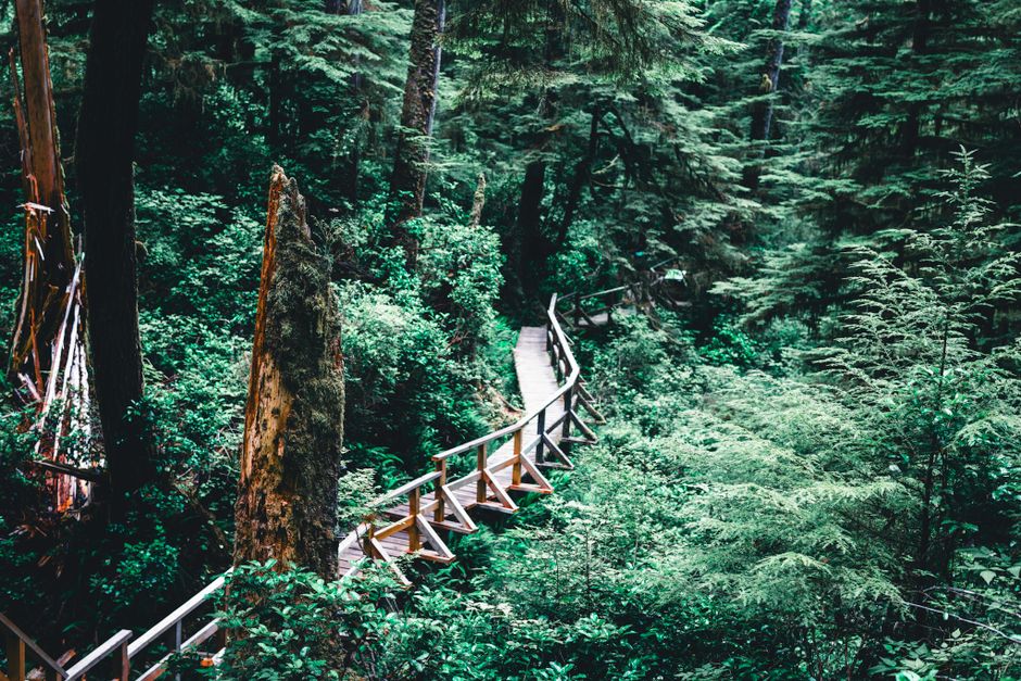 West Coast Trail Evacuations as Heavy Rain Floods Vancouver Island Hike