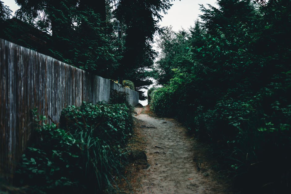 Mystical Adventures - Unleashing the Power of the Unknown