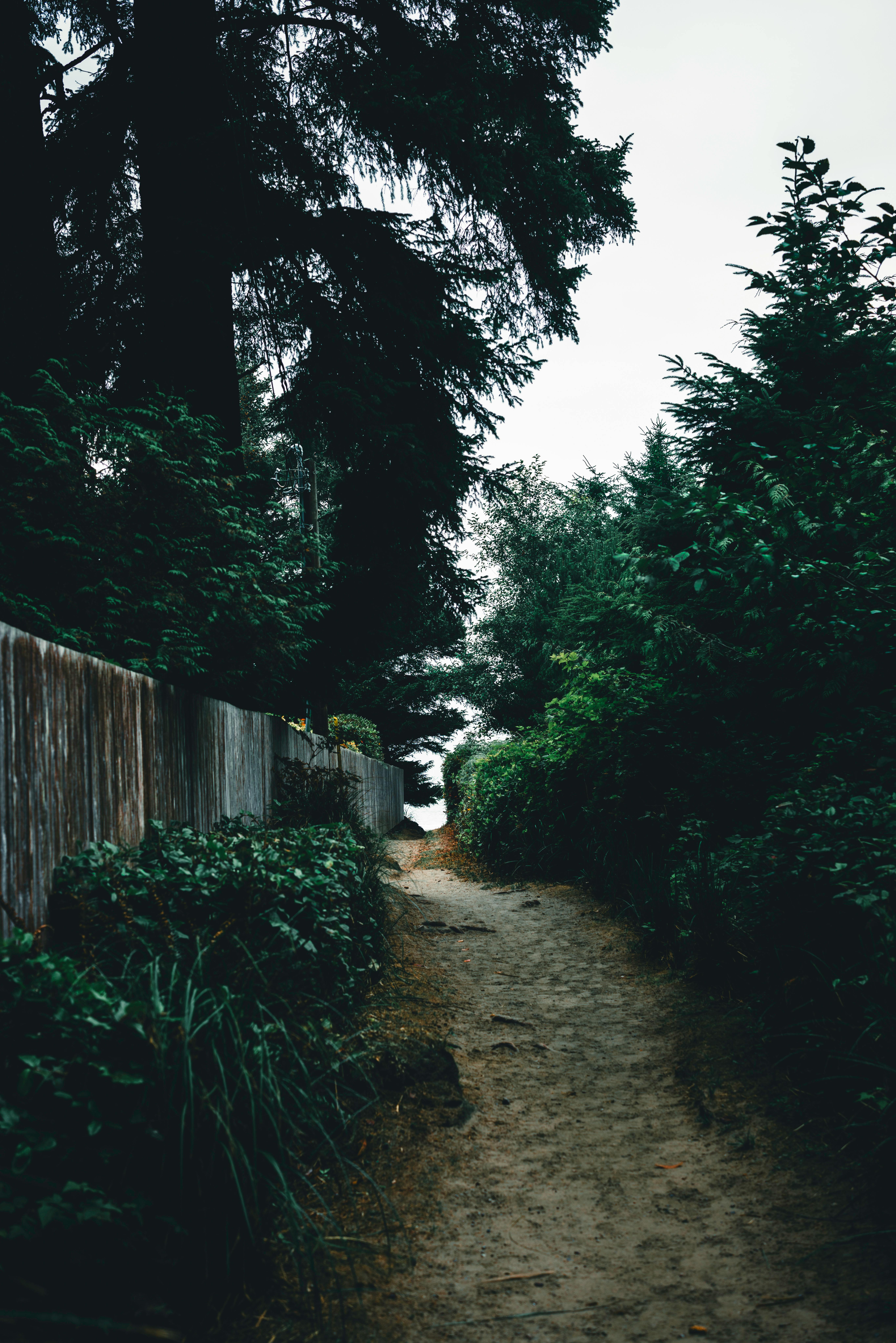 Discover Bristol CT Zip’s Best-Kept Secrets: 5 Unique Attractions Off the Beaten Path