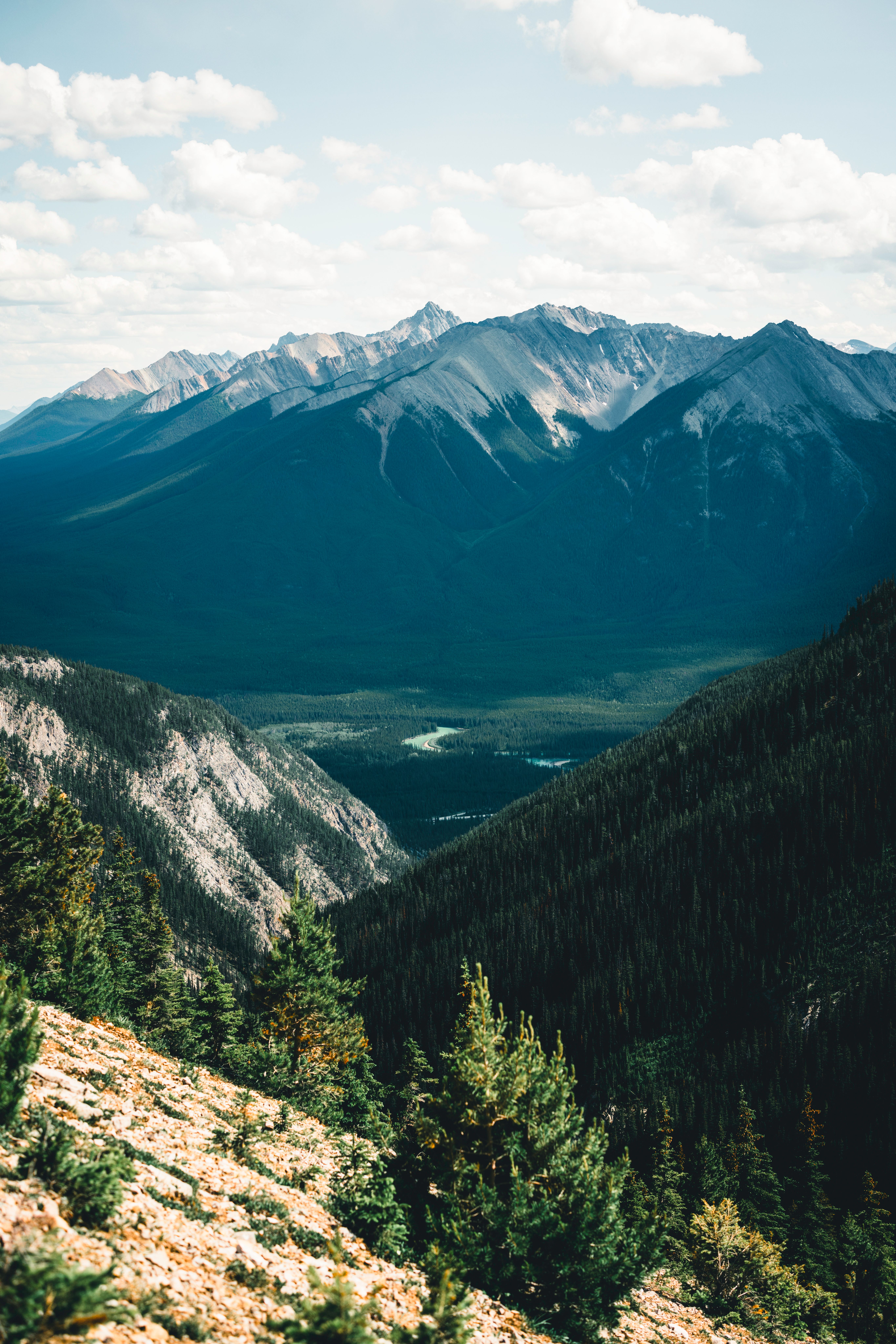 Breathtaking view of Rocky Mountains and lush forests in Banff National Park, Canada.