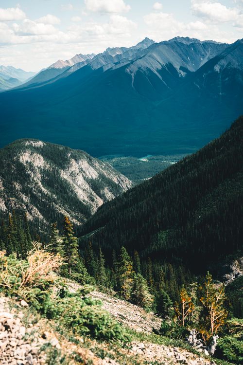 Free Stunning view of a lush forested mountain valley in Banff, Alberta, showcasing nature's grandeur. Stock Photo