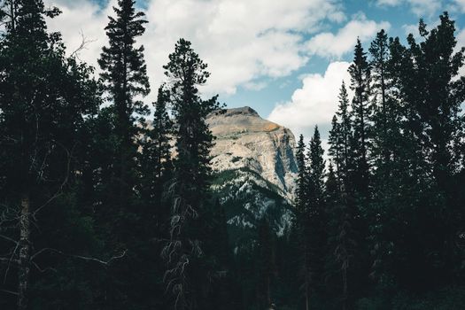 Captivating view of a mountainous landscape surrounded by dense conifer forest in Banff, Alberta.