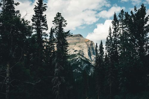 Free Captivating view of a mountainous landscape surrounded by dense conifer forest in Banff, Alberta. Stock Photo