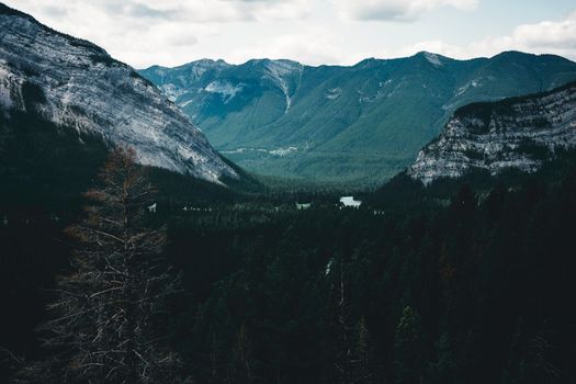 Serene landscape of mountainous forest in Banff, Canada, under a cloudy sky.