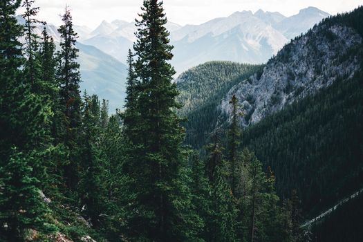 Explore the serene beauty of Banff National Park with lush forests and majestic mountain ranges.