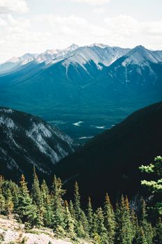 Scenic view of Banff's majestic mountains and lush forest, Alberta, Canada.