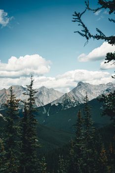 Scenic mountain landscape with evergreen trees in Banff National Park, Alberta, Canada.