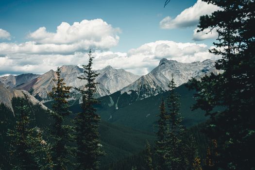 Majestic view of Banff's rugged mountains and evergreen forests under a cloudy sky.