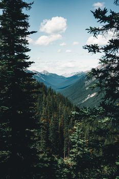 Discover breathtaking mountain vistas and lush evergreen forests in Banff National Park, Alberta, Canada.