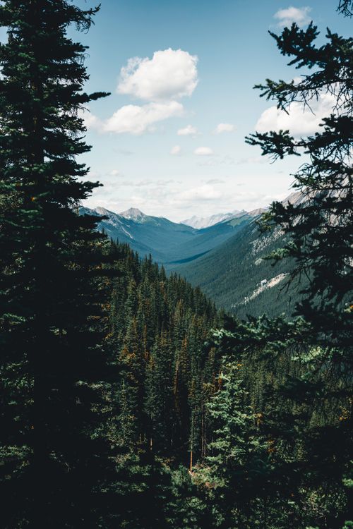 Free Discover breathtaking mountain vistas and lush evergreen forests in Banff National Park, Alberta, Canada. Stock Photo