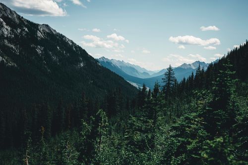 Free Capture Banff's breathtaking mountain valley with lush evergreens under a clear blue sky. Stock Photo