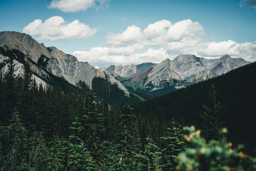 Breathtaking view of mountains and forests in Banff National Park, Canada.