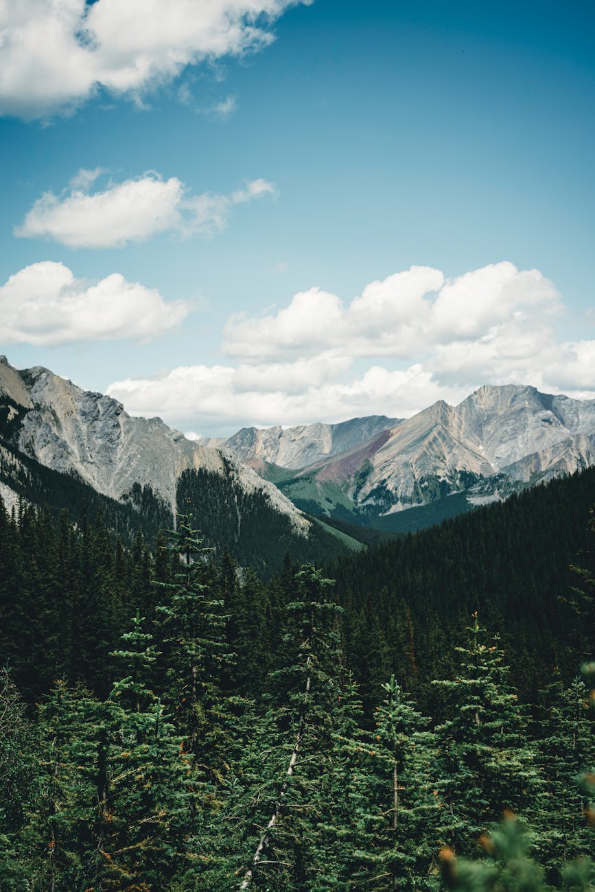 밴프 국립공원 갤러리 이미지