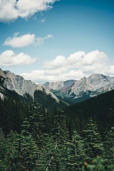 Scenic view of rocky mountains and evergreen forest in Banff, Canada.