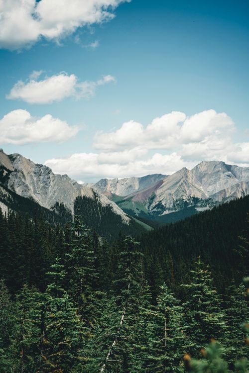 Free Scenic view of rocky mountains and evergreen forest in Banff, Canada. Stock Photo