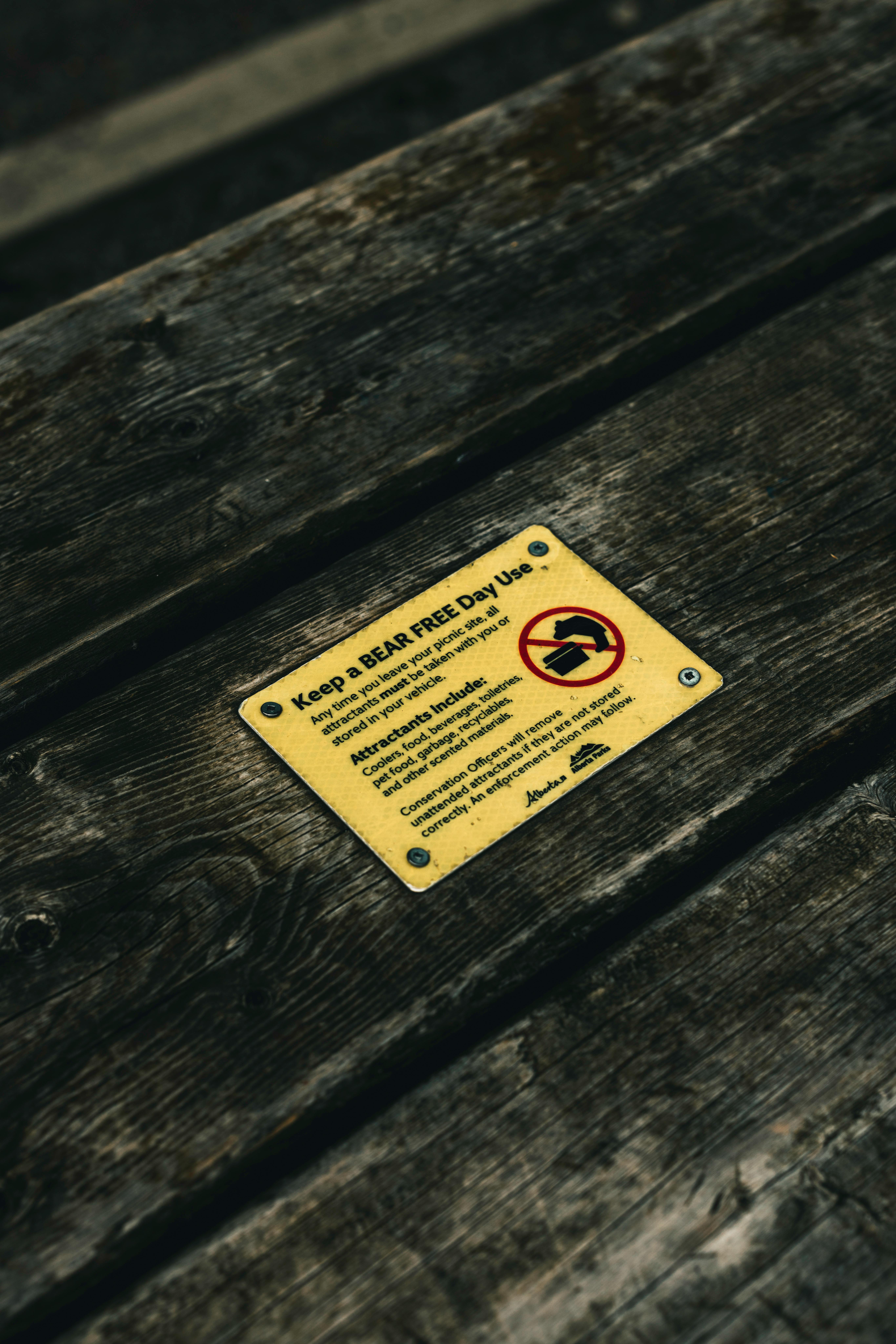 Hard-sided RV at a forest campground with bear-warning signage