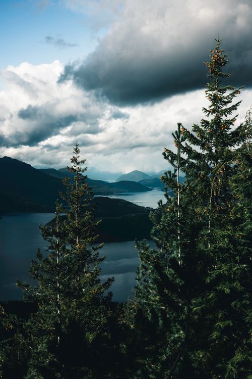 Free Dramatic view of a lake and mountains from Banff National Park, Alberta, Canada, framed by evergreen trees and cloudy skies. Stock Photo