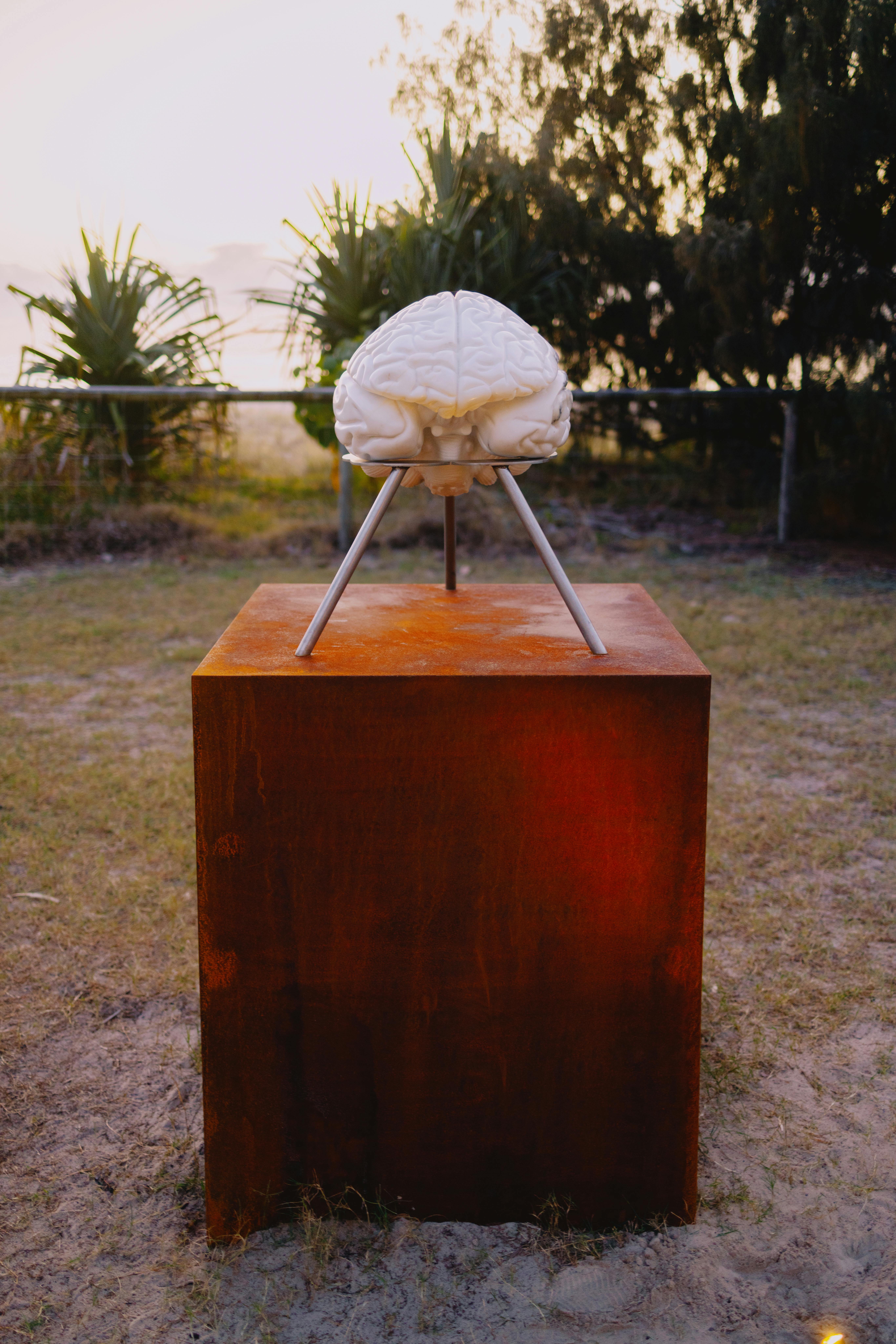 Sculpture of Brain on Rusty Base · Free Stock Photo