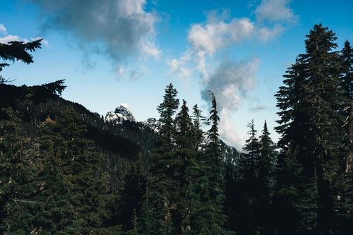 Free Stunning view of snowcapped mountains and dense forest in Vancouver, BC, Canada. Stock Photo