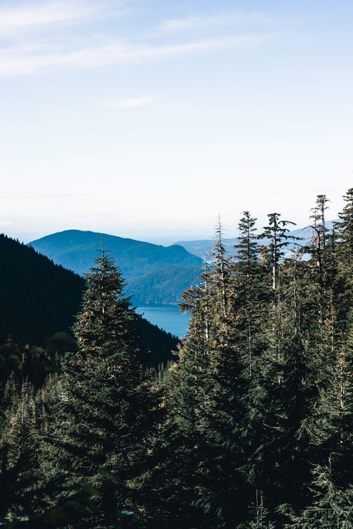 Free A stunning view of evergreen forests with mountains and a lake in the background creating a serene landscape. Stock Photo