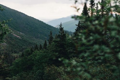 Free Explore the lush greenery and majestic mountains of Gaspé, Canada during summer. Stock Photo