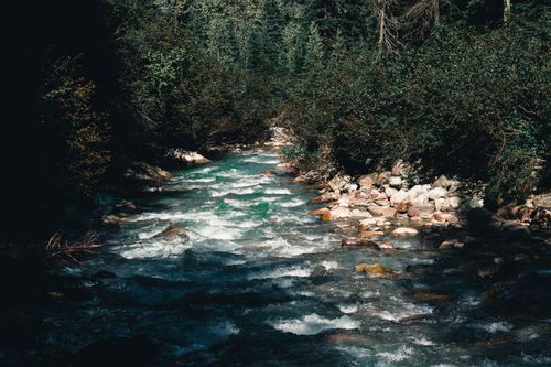 Free Captivating view of a river flowing through a lush forest in Jasper, AB, Canada. Stock Photo
