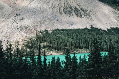 Free A breathtaking aerial view of the vibrant emerald lake and dense coniferous forest in Jasper National Park, Alberta, Canada. Stock Photo