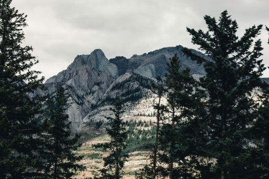 Dramatic mountains and lush coniferous forests in Jasper, Alberta.