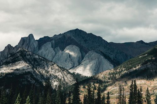 Free Breathtaking view of mountains and forest in Jasper National Park, Alberta, Canada. Stock Photo