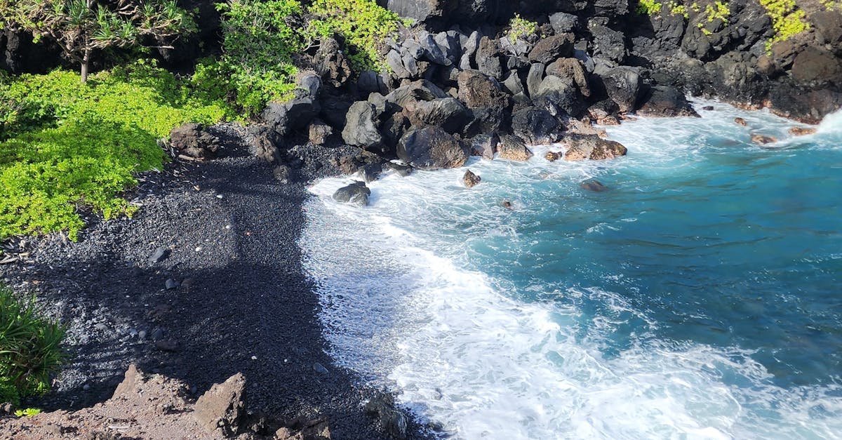 Photo by Sathyaprabha Rakkimuthu Breathtaking view of a black sand beach at Hawaii Volcanoes National Park with lush greenery and blue ocean.