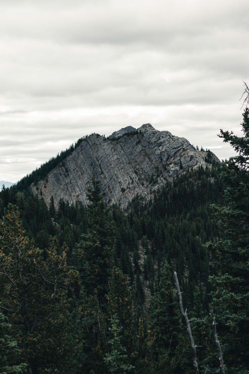 Free Stunning landscape of rocky mountain surrounded by dense forest in Banff National Park. Stock Photo