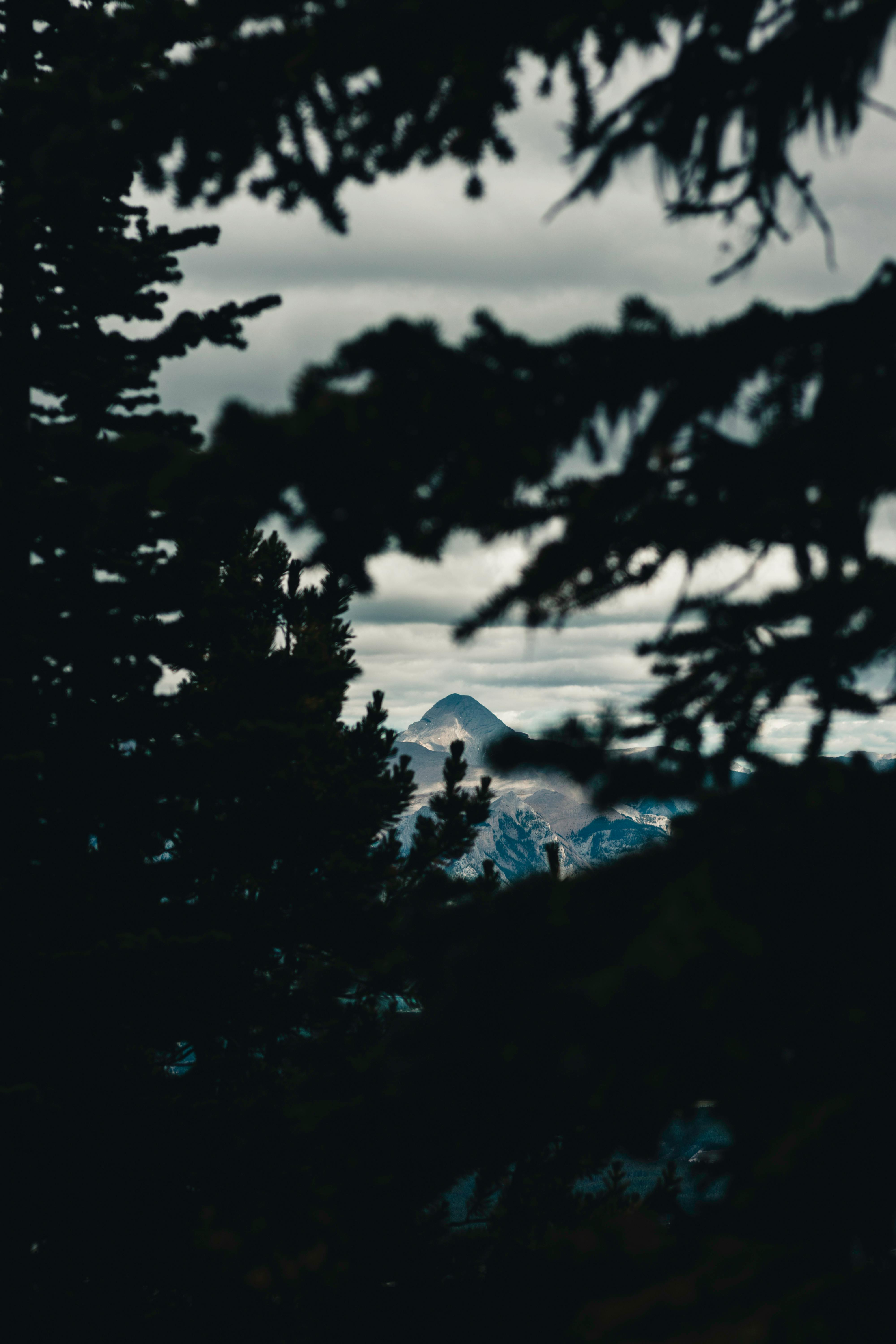 Kostenlos Banff, Jasper, Golden Und Glacier Nationalpark Stock-Foto