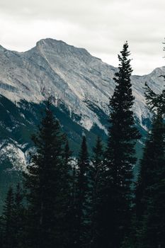 Explore the dramatic peaks and lush forest of Banff's iconic mountain scenery.