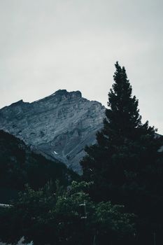A tranquil depiction of a rugged mountain peak with evergreen trees in Banff, Canada.