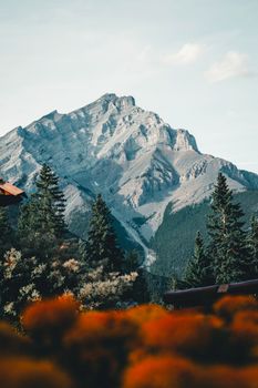 Stunning view of a Rocky Mountain peak in Banff National Park, surrounded by vibrant nature.
