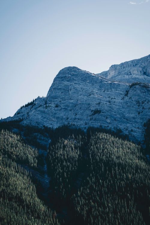Free Dramatic view of the Rocky Mountains in Banff, Canada, showcasing dense forests and rugged peaks. Stock Photo