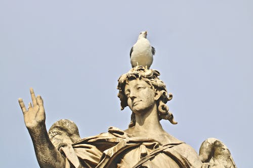 Free stock photo of bird, eagle, statue