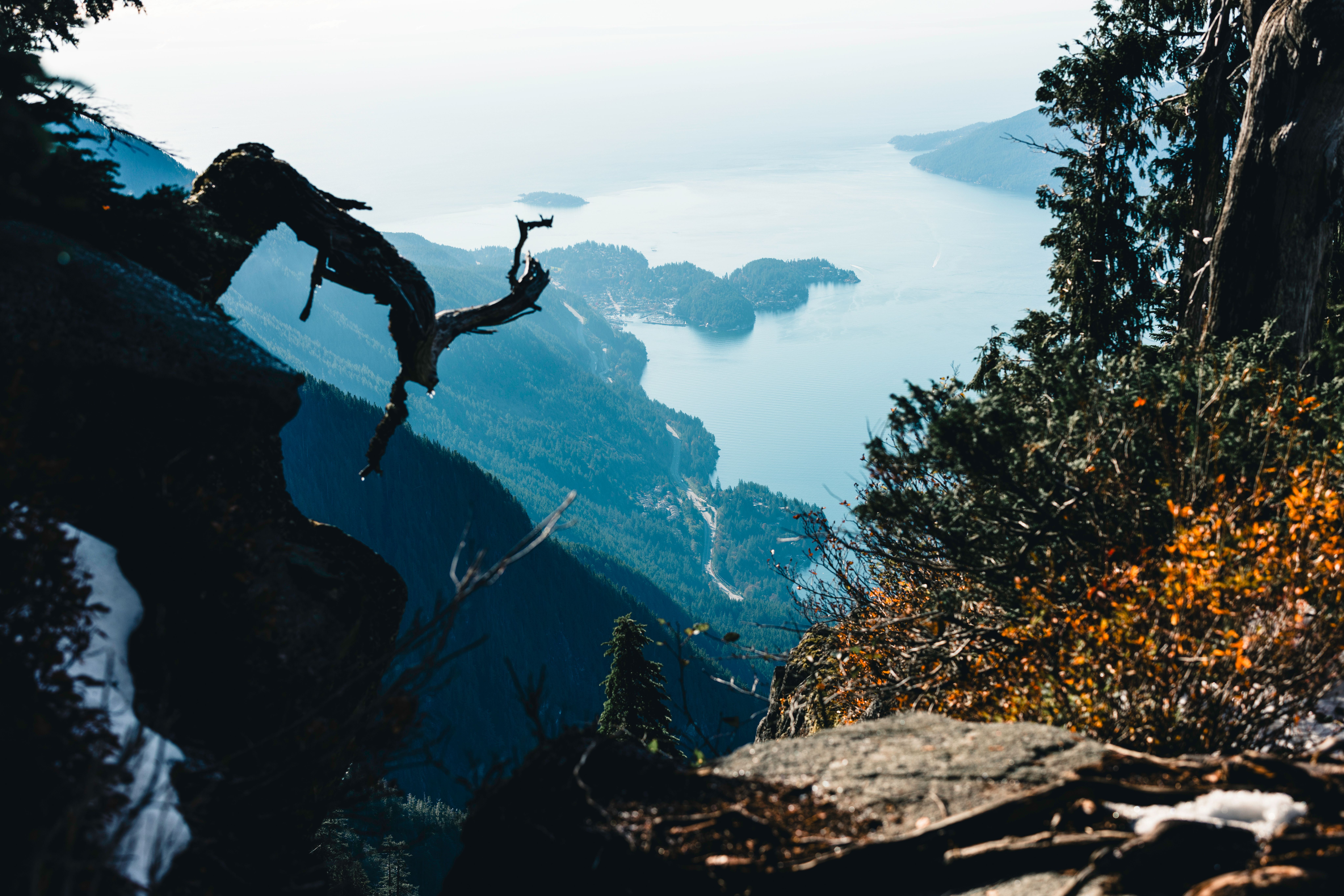 Breathtaking aerial view of Gibsons, BC coastline framed by lush forest and rocky cliffs.