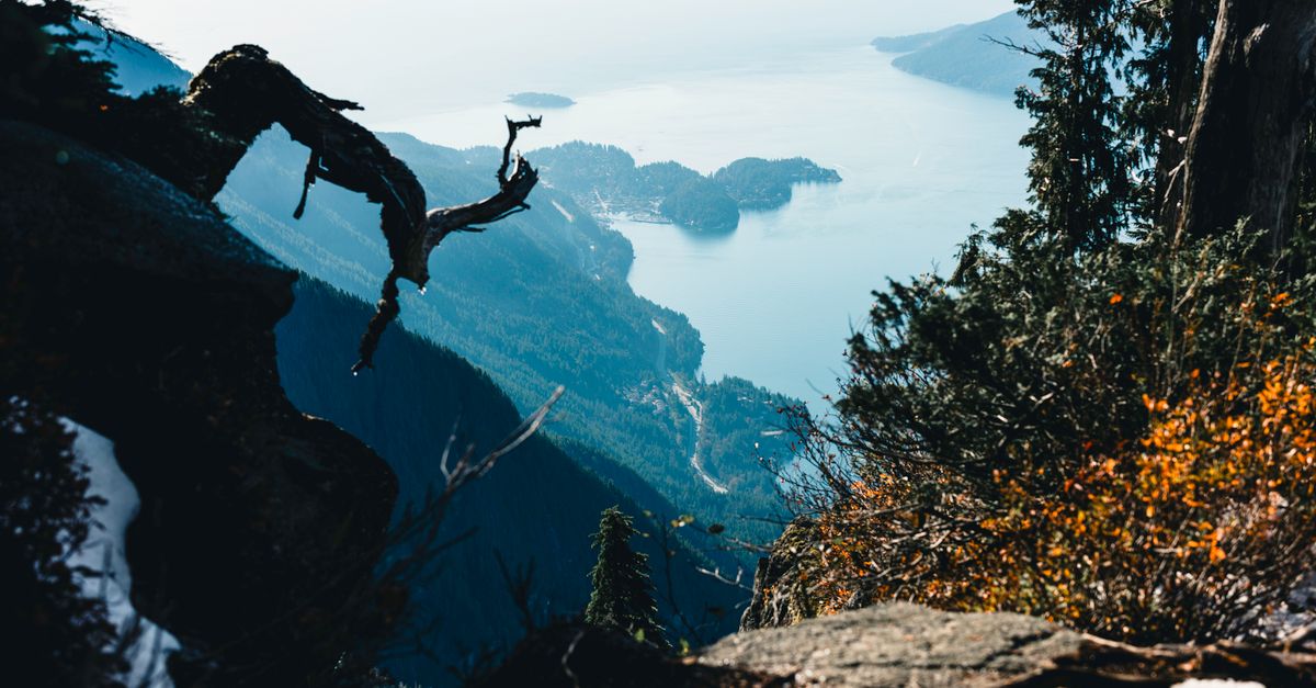 Breathtaking aerial view of Gibsons, BC coastline framed by lush forest and rocky cliffs.