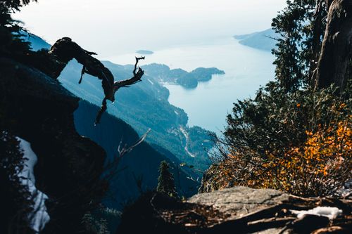 Free Breathtaking aerial view of Gibsons, BC coastline framed by lush forest and rocky cliffs. Stock Photo